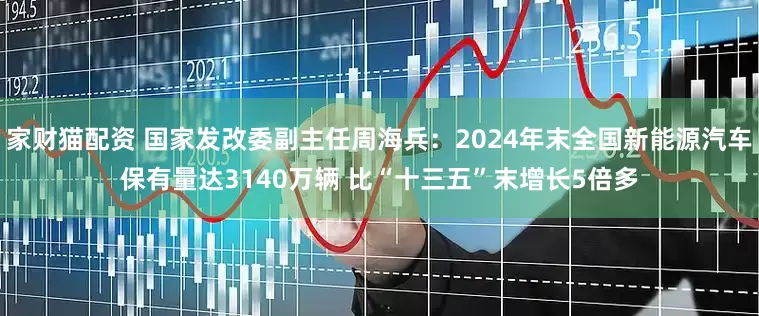 家财猫配资 国家发改委副主任周海兵：2024年末全国新能源汽车保有量达3140万辆 比“十三五”末增长5倍多